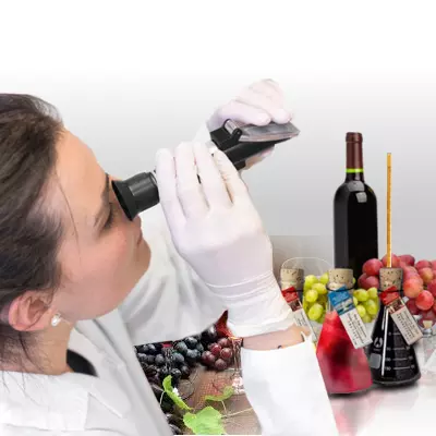 dotari_laborator_analiza_vin