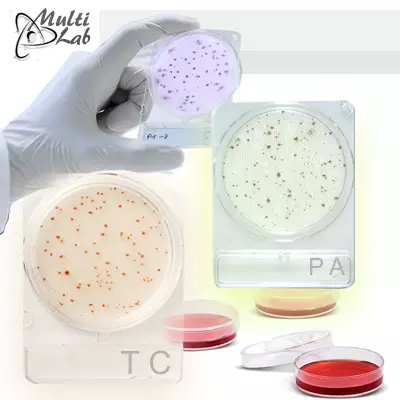 teste_microbiologice_rapide