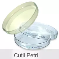 cutii_petri