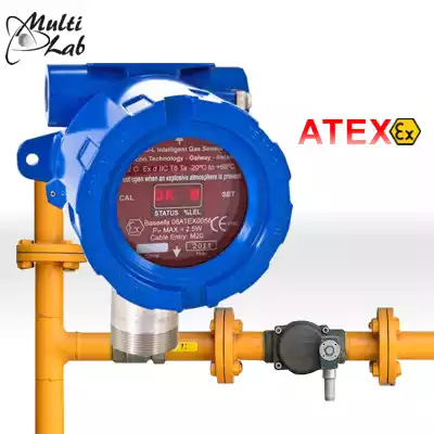 detector_monitorizare_gaze_S500L_certificat_ATEX