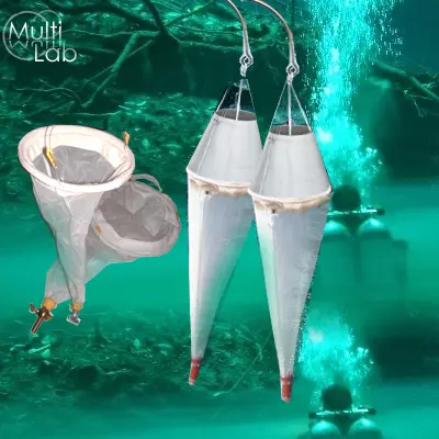 fileu_plankton