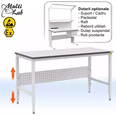 masa_lucru_ESD