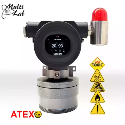 detector_fix_gaze_periculoase