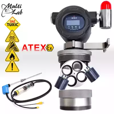 detector_fix_gaze_toxice